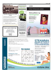 Síða 29