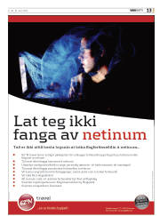 Síða 13