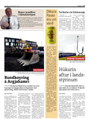 Síða 15