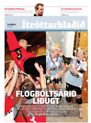Síða 17