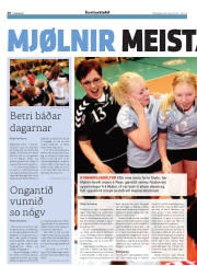 Síða 20