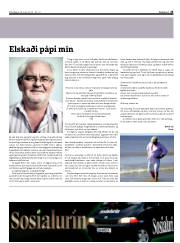 Síða 25