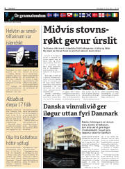 Síða 8