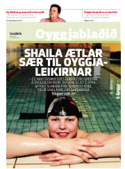 Síða 13