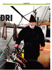 Síða 19