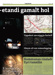 Síða 21