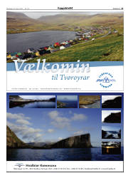 Síða 25