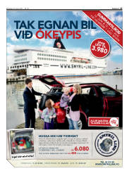 Síða 37