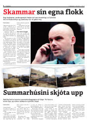 Síða 6