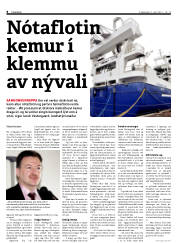 Síða 8