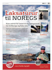 Síða 19