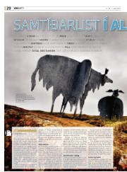 Síða 20