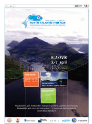 Síða 13