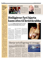 Síða 6