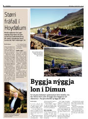 Síða 8