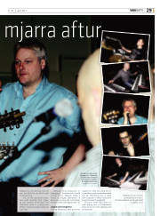 Síða 29