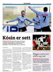 Síða 17