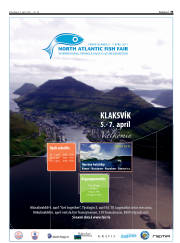 Síða 33