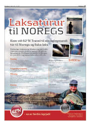 Síða 37