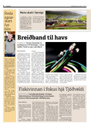Síða 6