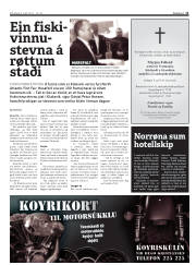 Síða 11