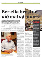 Síða 18