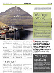 Síða 19