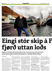 Síða 20