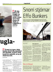 Síða 21
