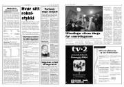 Síða 3