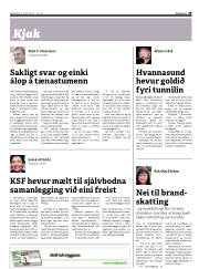 Síða 29