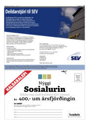 Síða 33