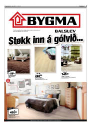 Síða 3