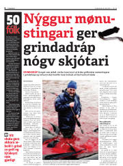 Síða 8