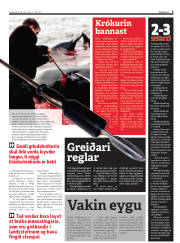 Síða 9