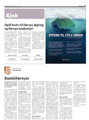 Síða 23