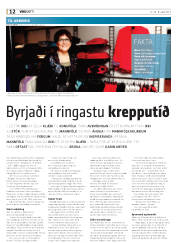 Síða 12