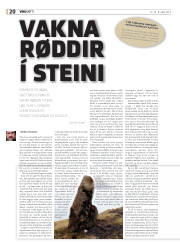 Síða 20