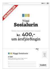 Síða 29