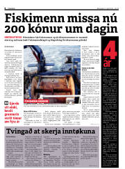 Síða 8