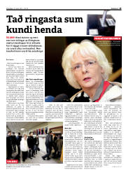Síða 13