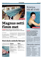 Síða 17