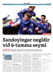 Síða 19