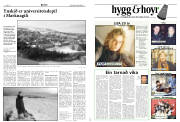 Síða 8