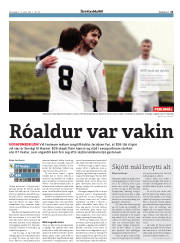 Síða 21