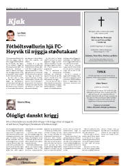 Síða 29