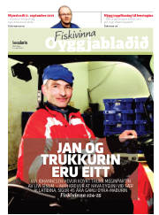 Síða 15