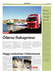 Síða 17
