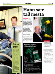 Síða 19