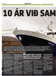 Síða 20